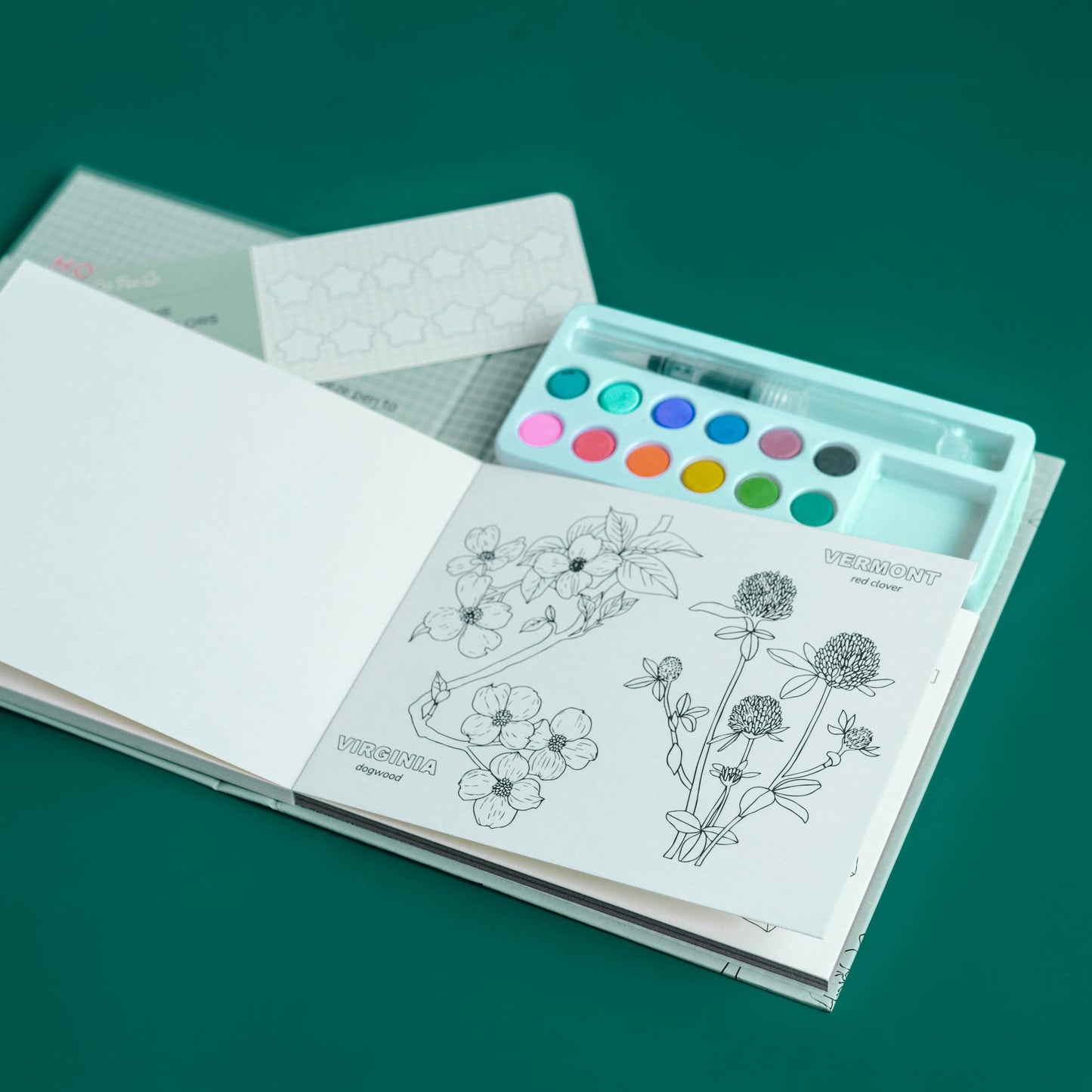 Watercolor Book and Paint Set - State Flowers