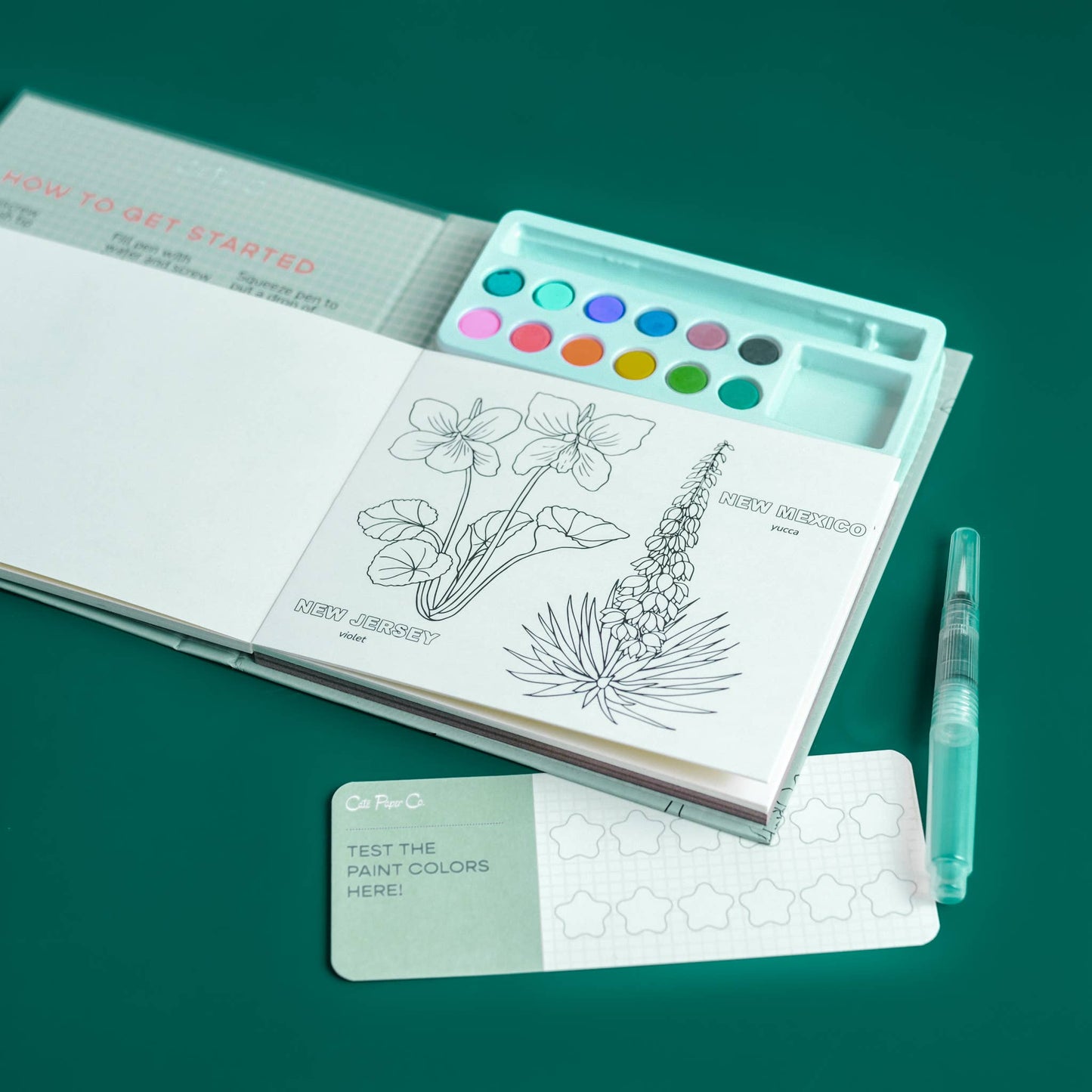 Watercolor Book and Paint Set - State Flowers