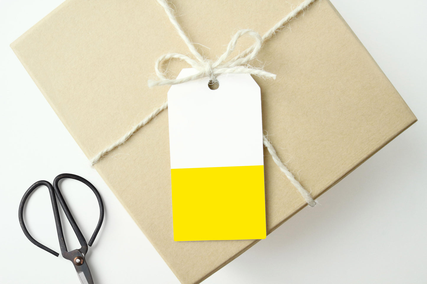 YELLOW COLOR BLOCK Gift Tags, Set of 10