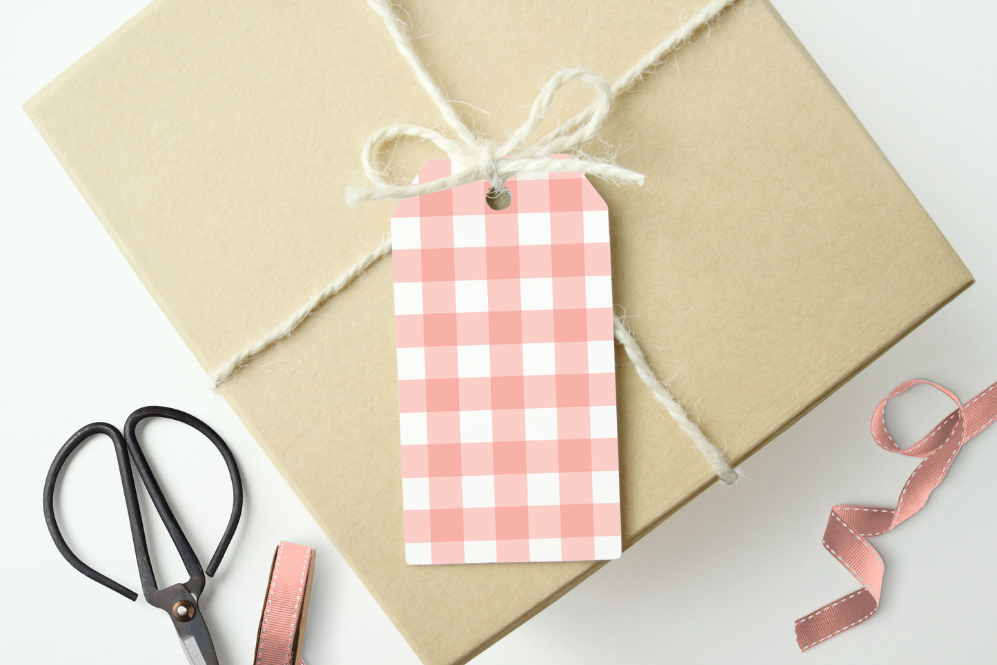 BLUSH PINK GINGHAM CHECKS Gift Tags -  Set of 10