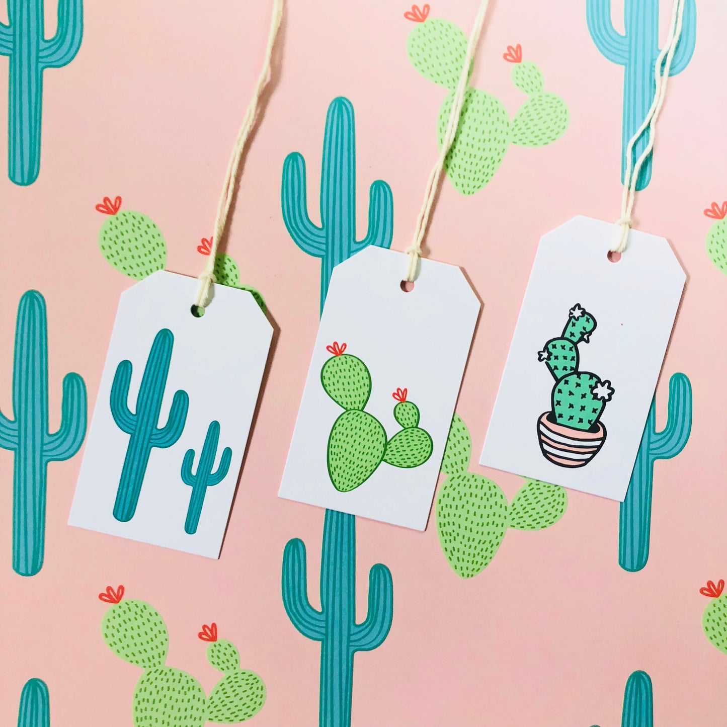 CACTUS GIFT TAGS-Set of 6 Tags- Plant Gift