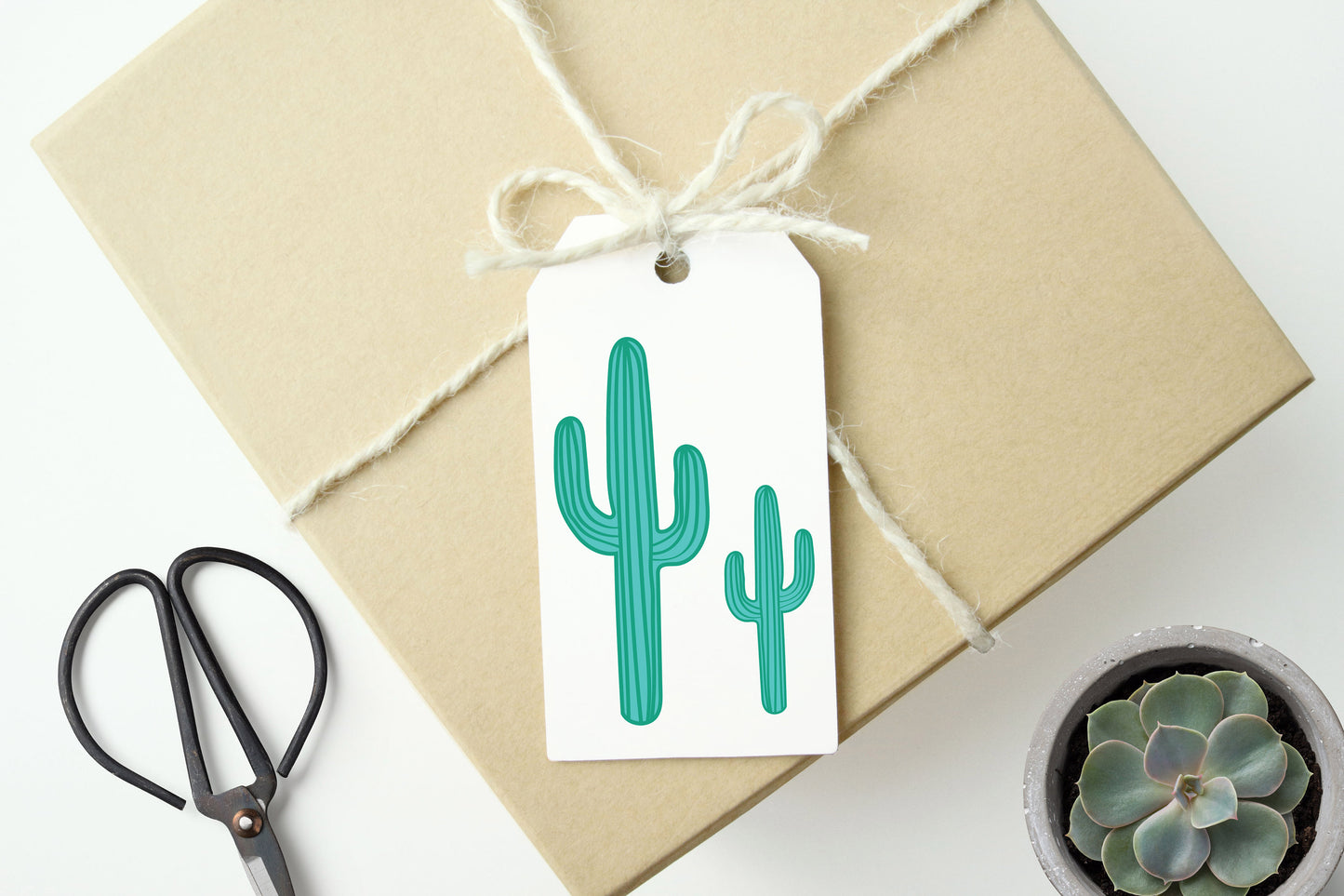 CACTUS GIFT TAGS-Set of 10 Tags- Plant Gift